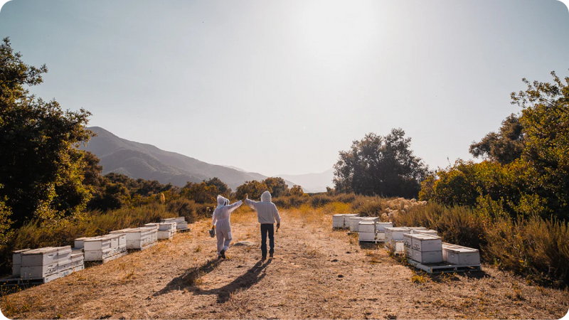 Good Honey